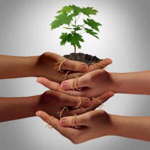 horoskop-zespolu-astrologiczna-analiza-zespolu-badanie-potencjal-grupowy