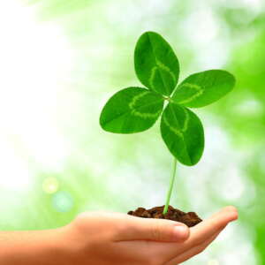 Horoskop na 2024/25 - roczna prognoza astrologiczna