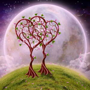 horoskop miłosny partnerska analiza astrologiczna